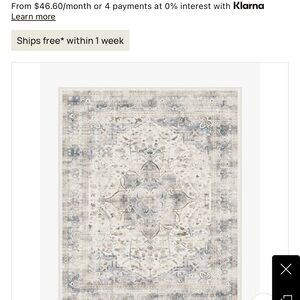 Elegant Beige and Blue Area Rug